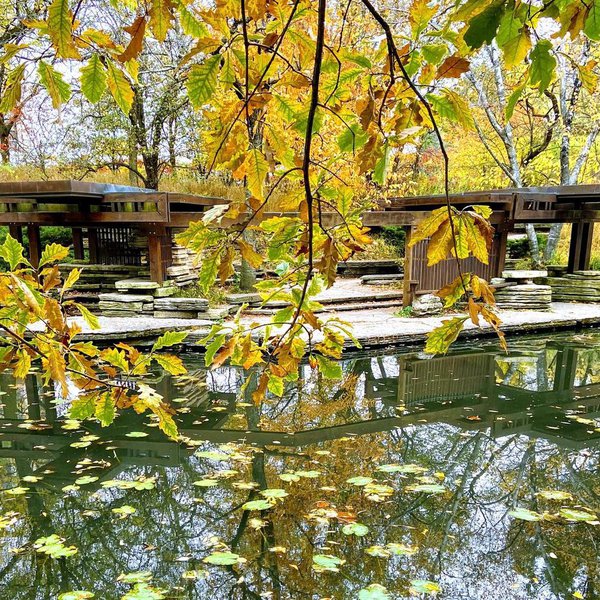 alfred caldwell lily pool 9.jpg