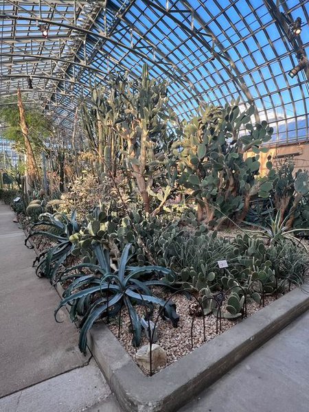 garfield park conservatory.jpg