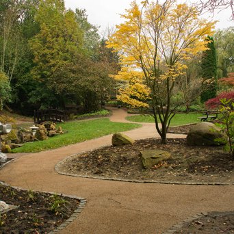 Japanese Gardens, Harrogate