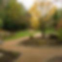 Japanese Gardens, Harrogate
