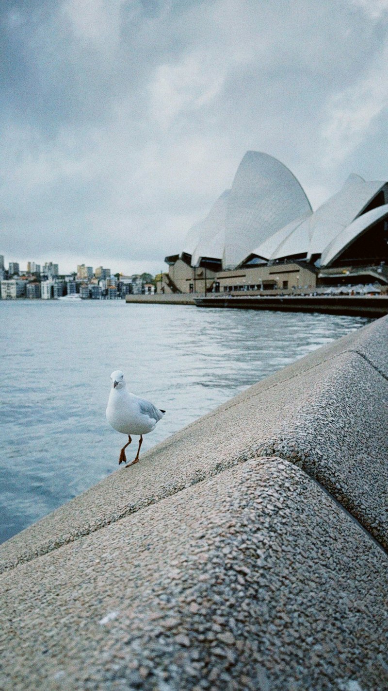 things to do in sydney with kids 05