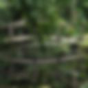 Alfred_Nicholas_Gardens_1.jpg