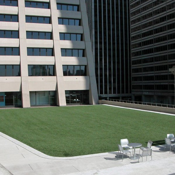 Elevated_Acre_3.jpg
