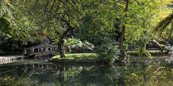 Alfred_Nicholas_Gardens_4.jpg
