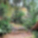 Benches in the Secret Garden.JPEG