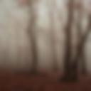 Endcliffe Park 4.jpg