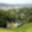 Prior Park Landscape Garden.jpg