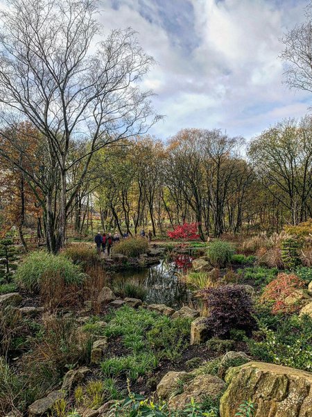 RHS Garden Bridgewater 1.jpg