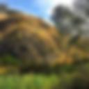 Rosette Rock.jpg