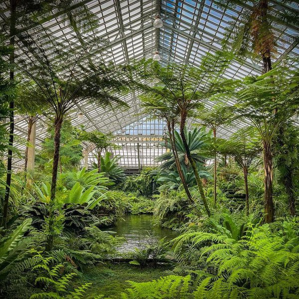 The Garfield Park Conservatory2.jpg
