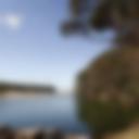 Wattamolla Beach.jpg